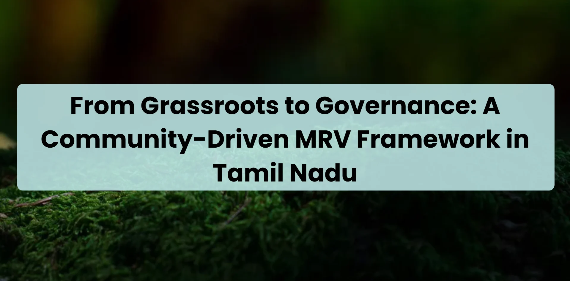 grassroots-governance