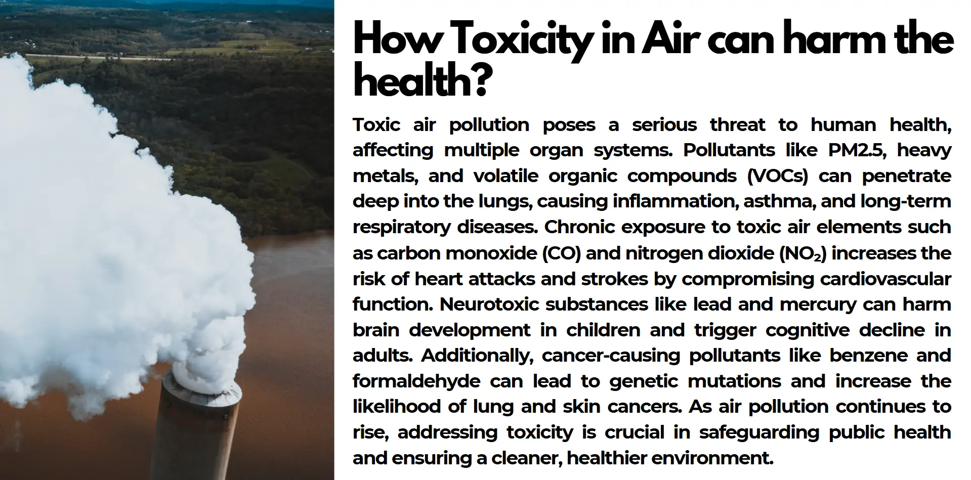 toxicity