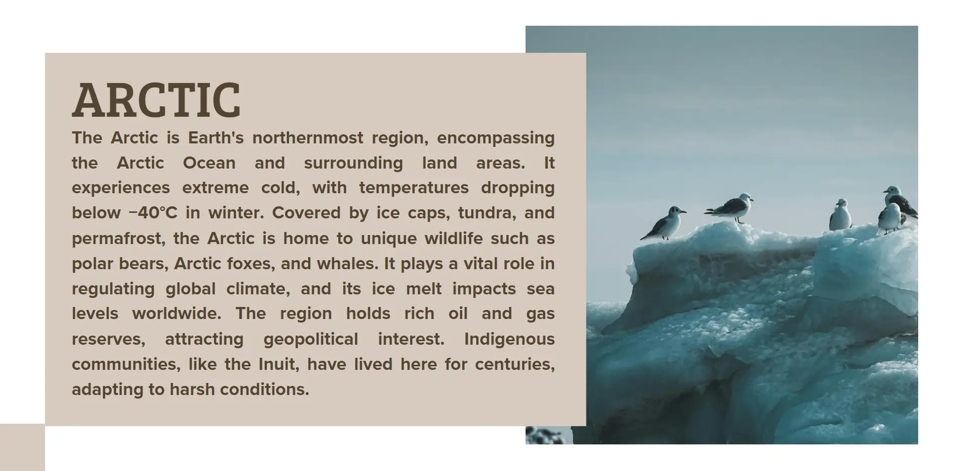 arctic