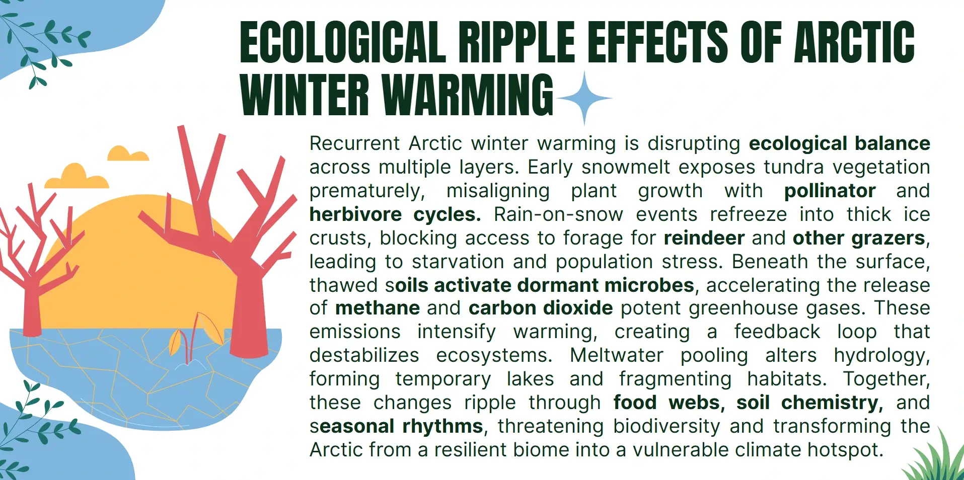 ecological ripple