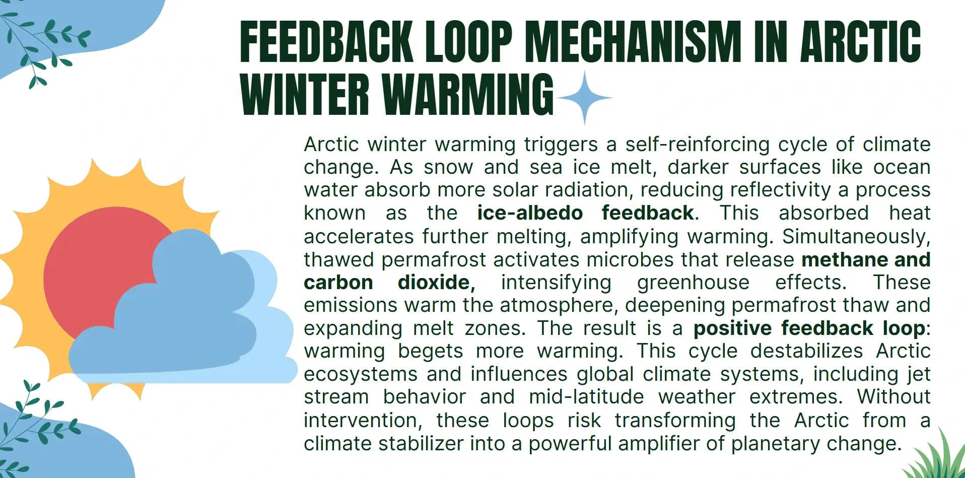 feedback look mechanism