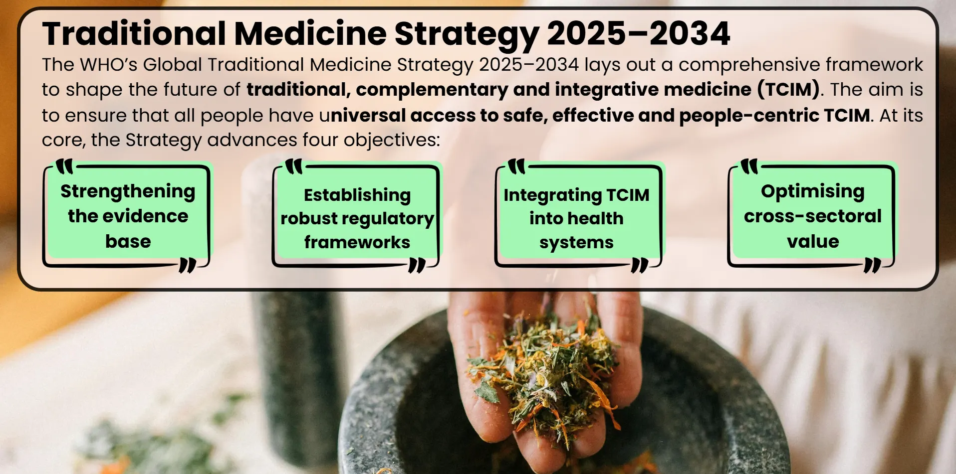 traditional-medicine-strategy