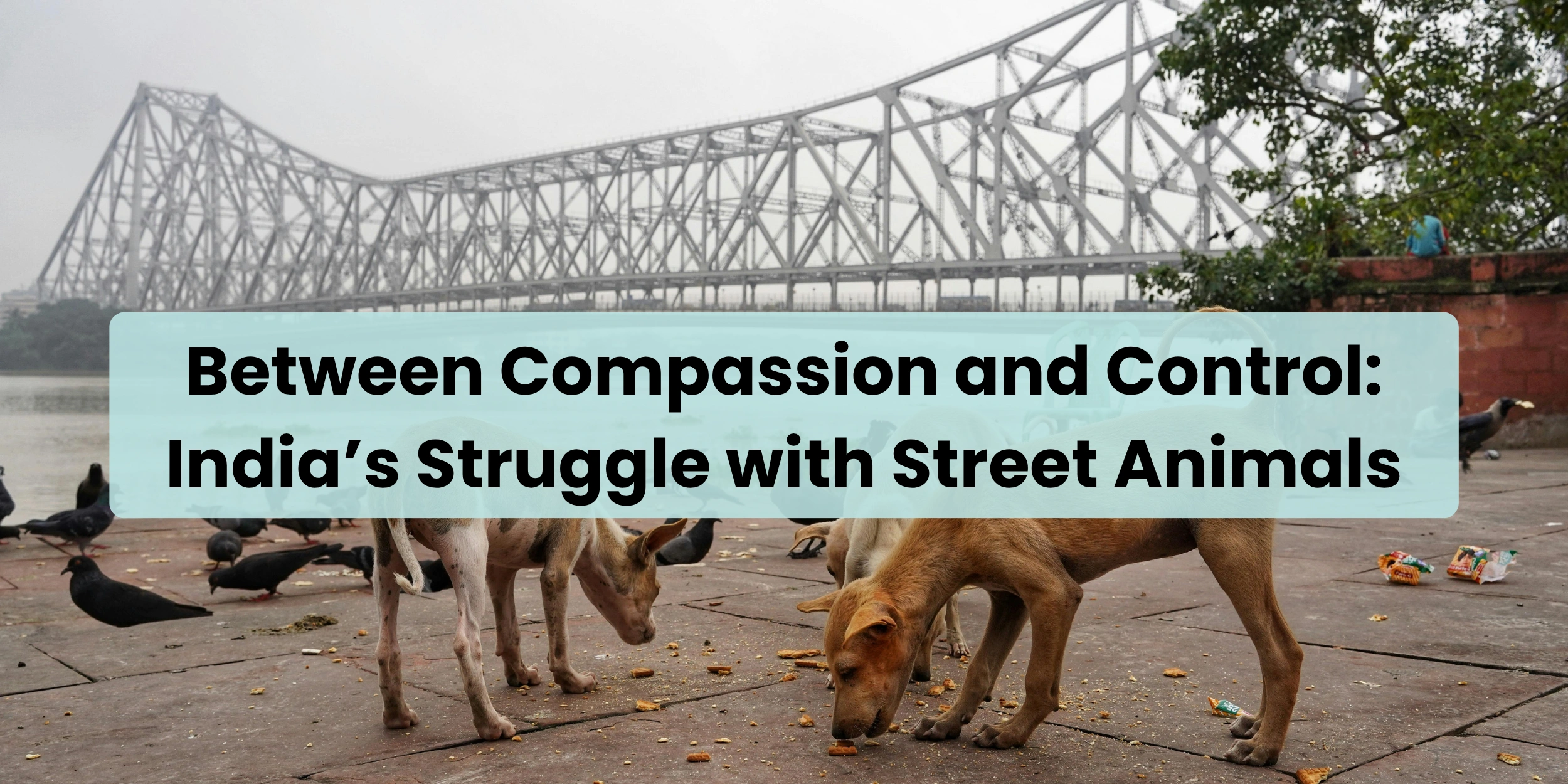 between-comparassion