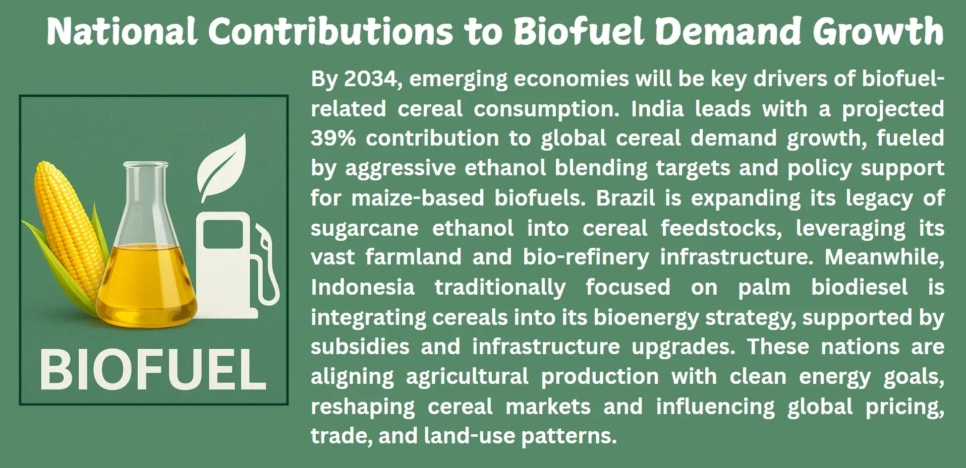 national contribution to biofuel