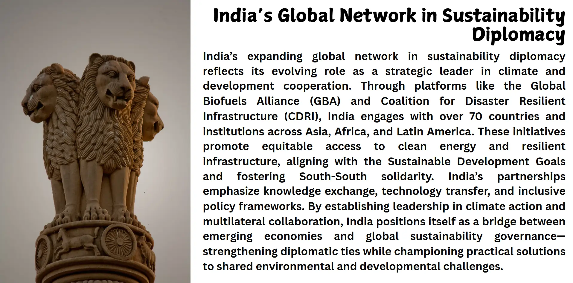 Global  network in sustainablity development