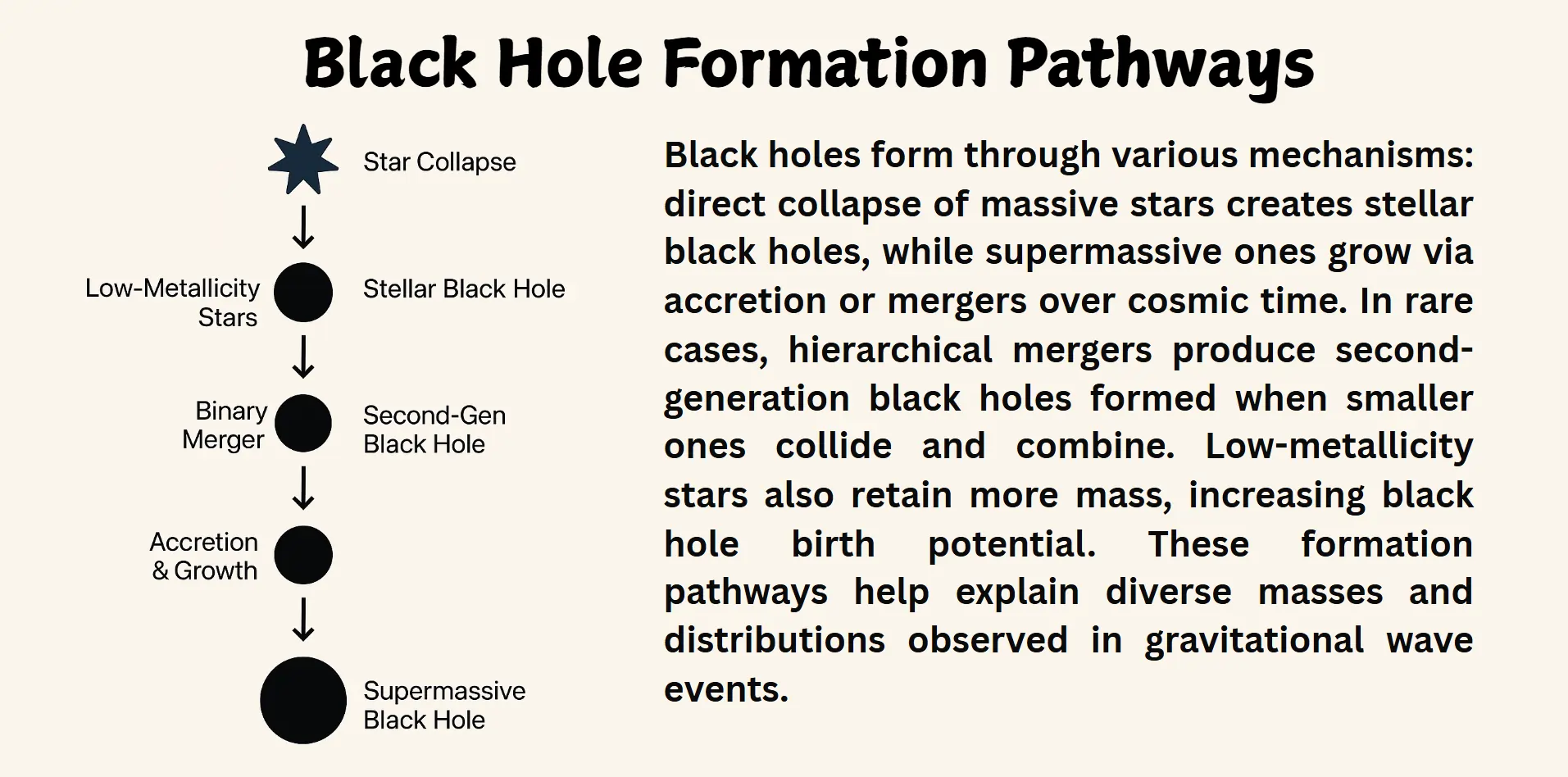 Black hole formation pathways