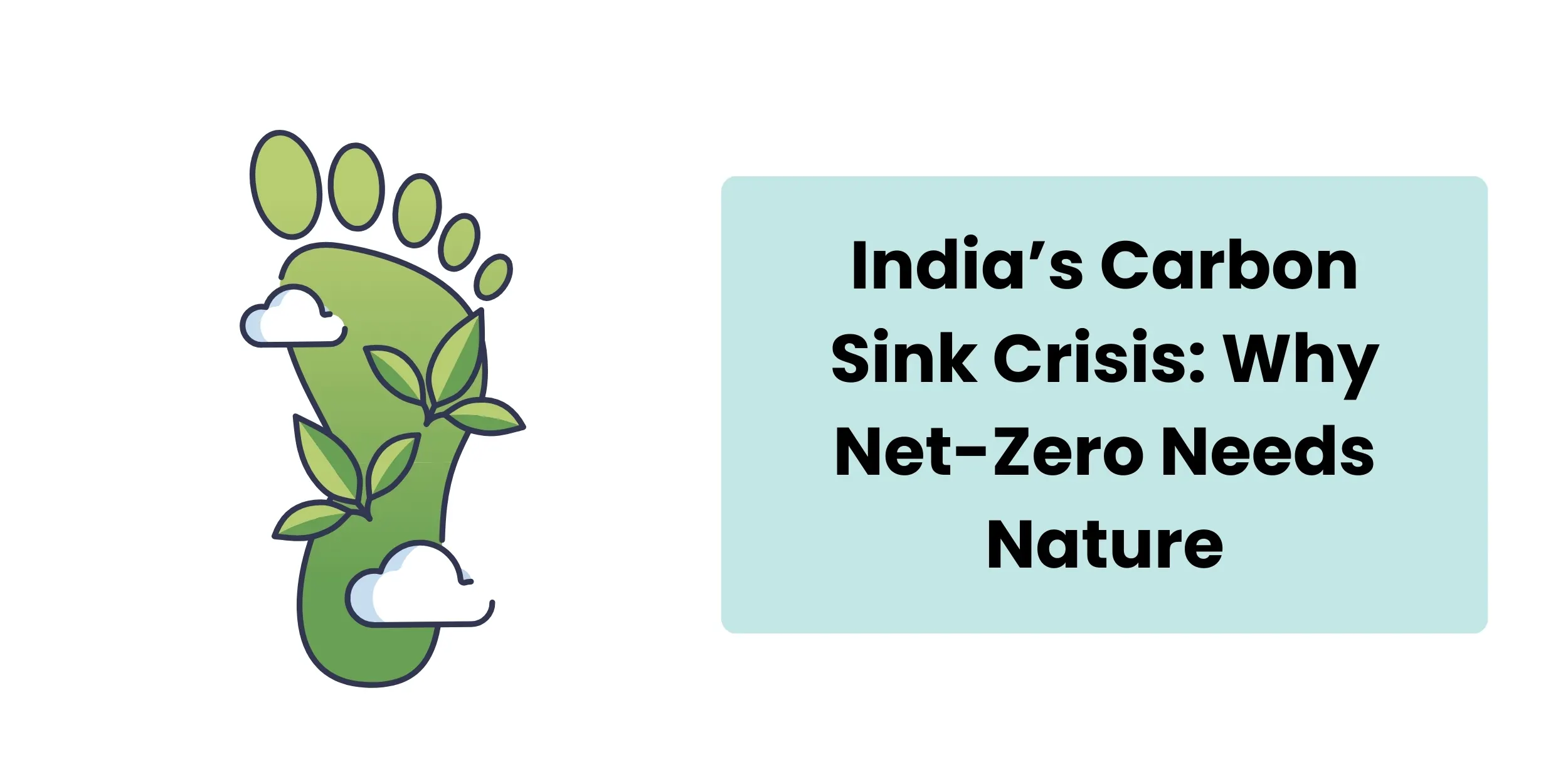 carbon-sink-crisis