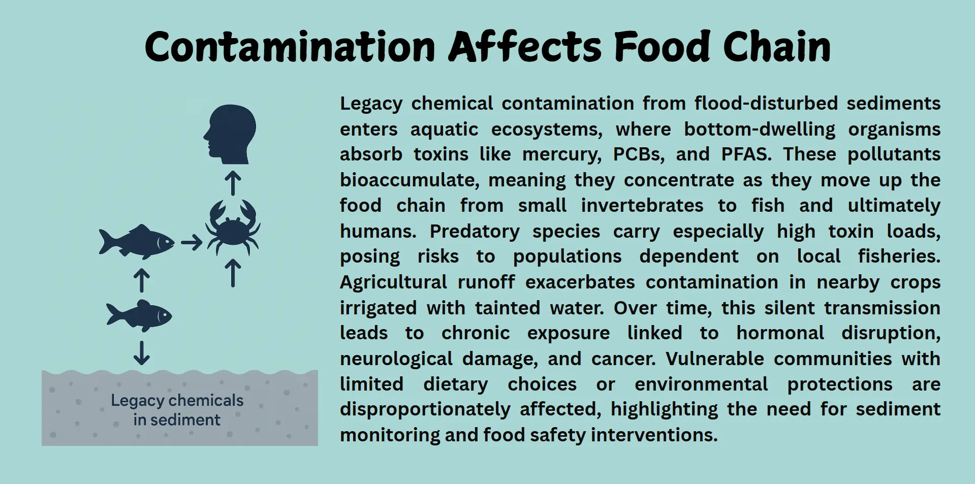 Contamination affects food chain