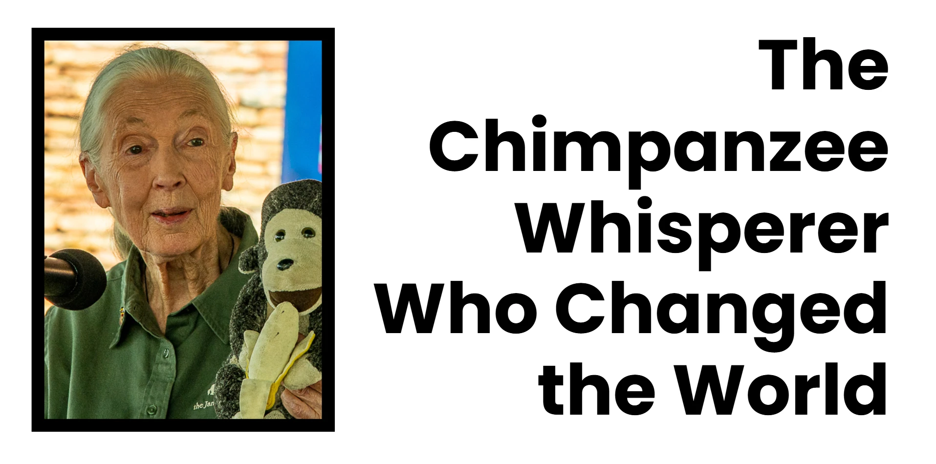 chimpanzee-whisperer