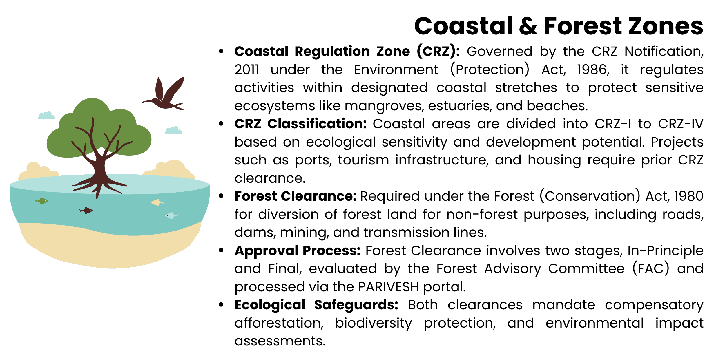 coastal-forest-zones