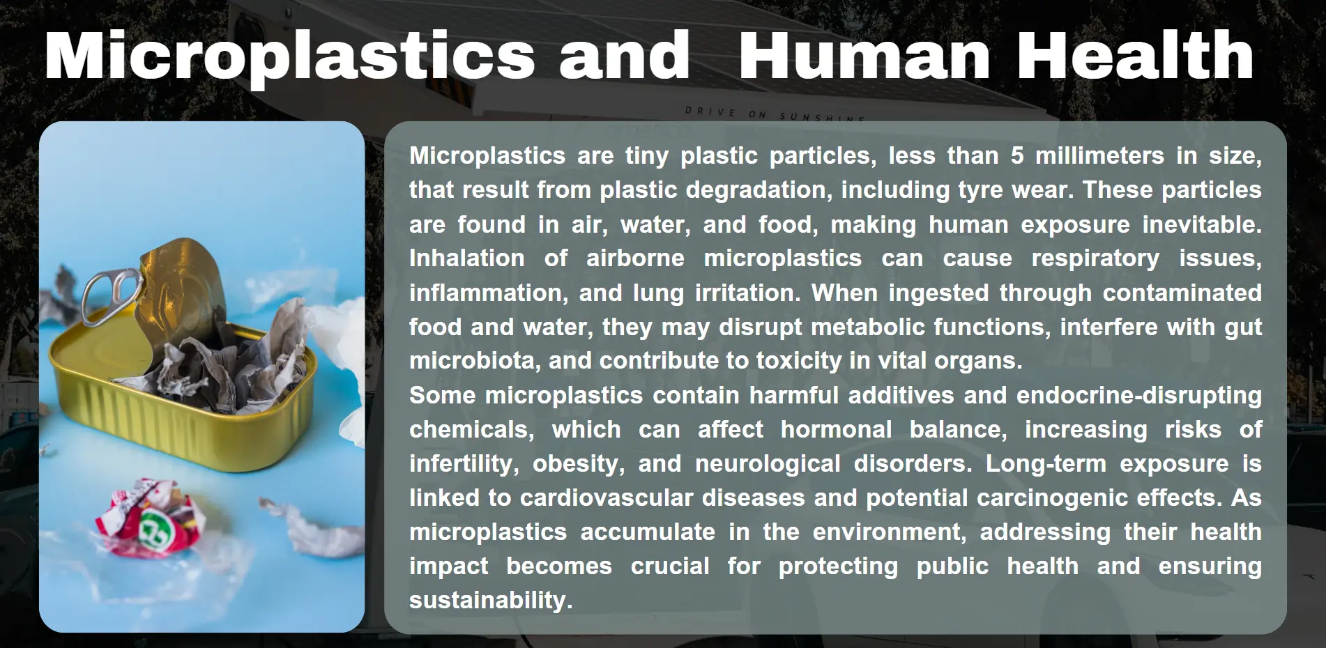 microplastic-and-human-health