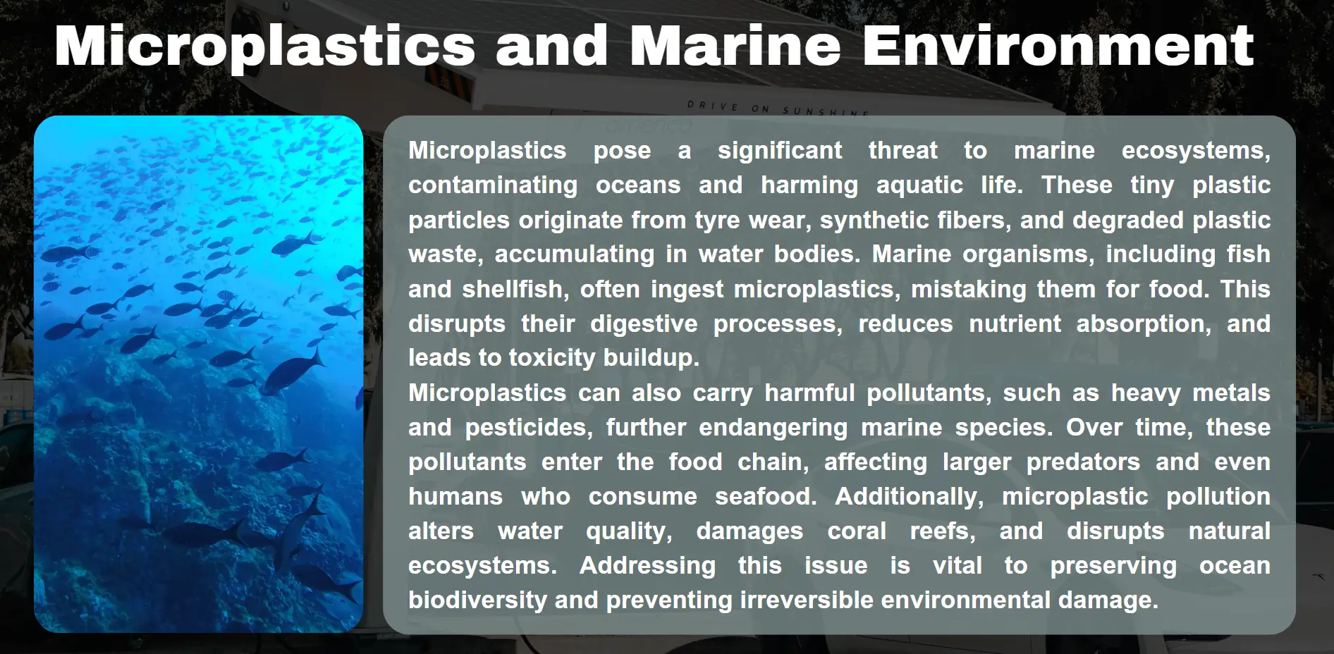 microplastic-and-marine-environment