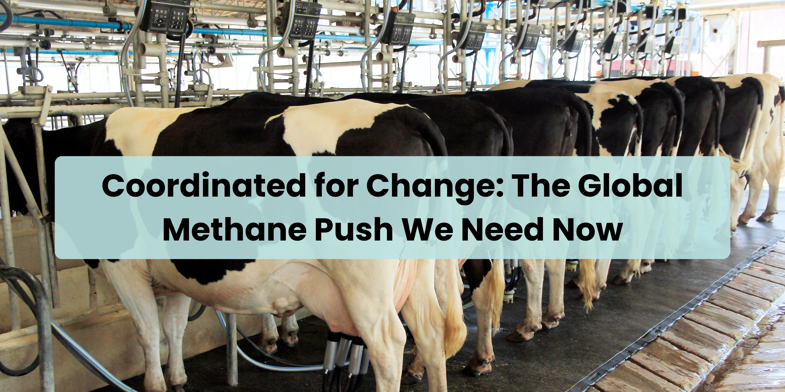 coordinated-for-change