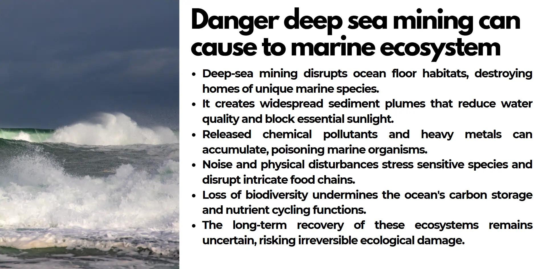marine-ecosystem