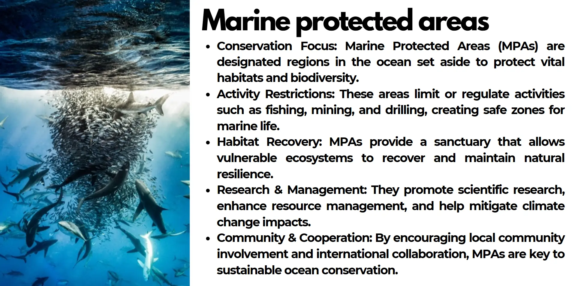 marine-protected-areas