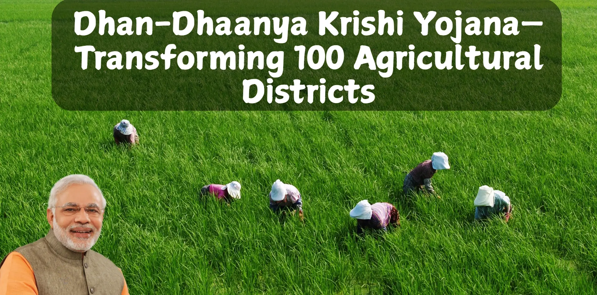 dhan dhaanya krishi yojana