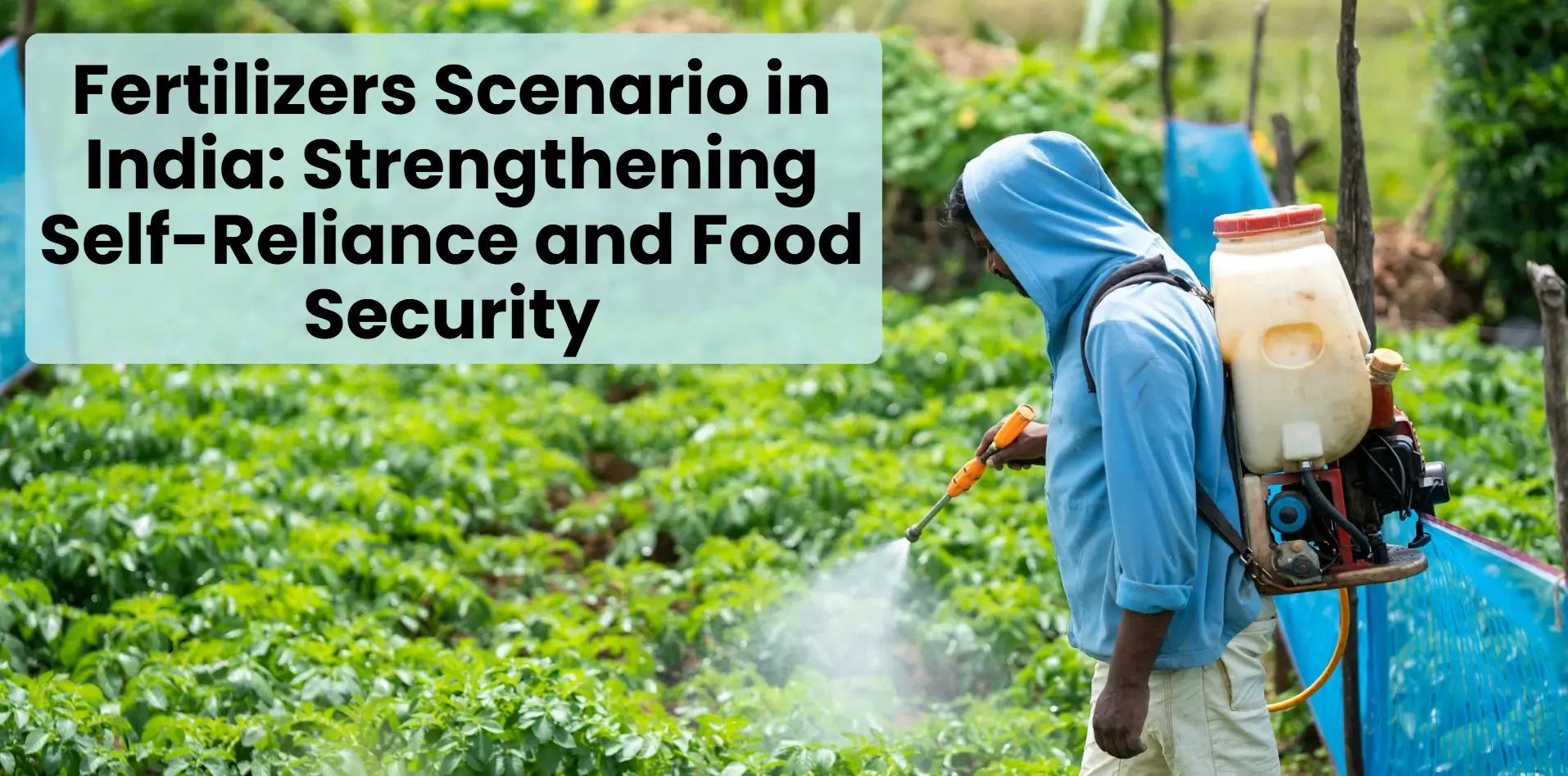 fertilizers scenario in