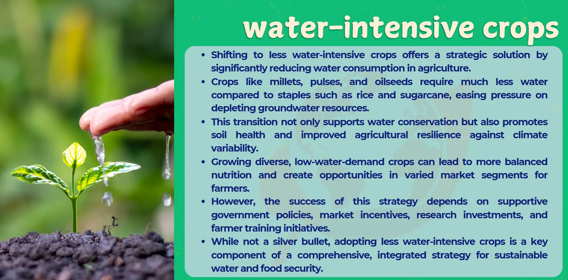 water-intensive-crops