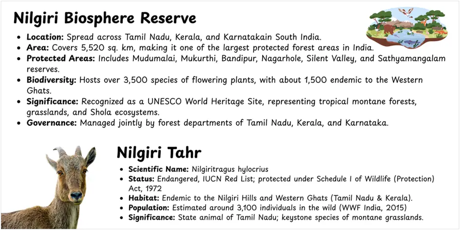 Nilgiris Biosphere Reserve