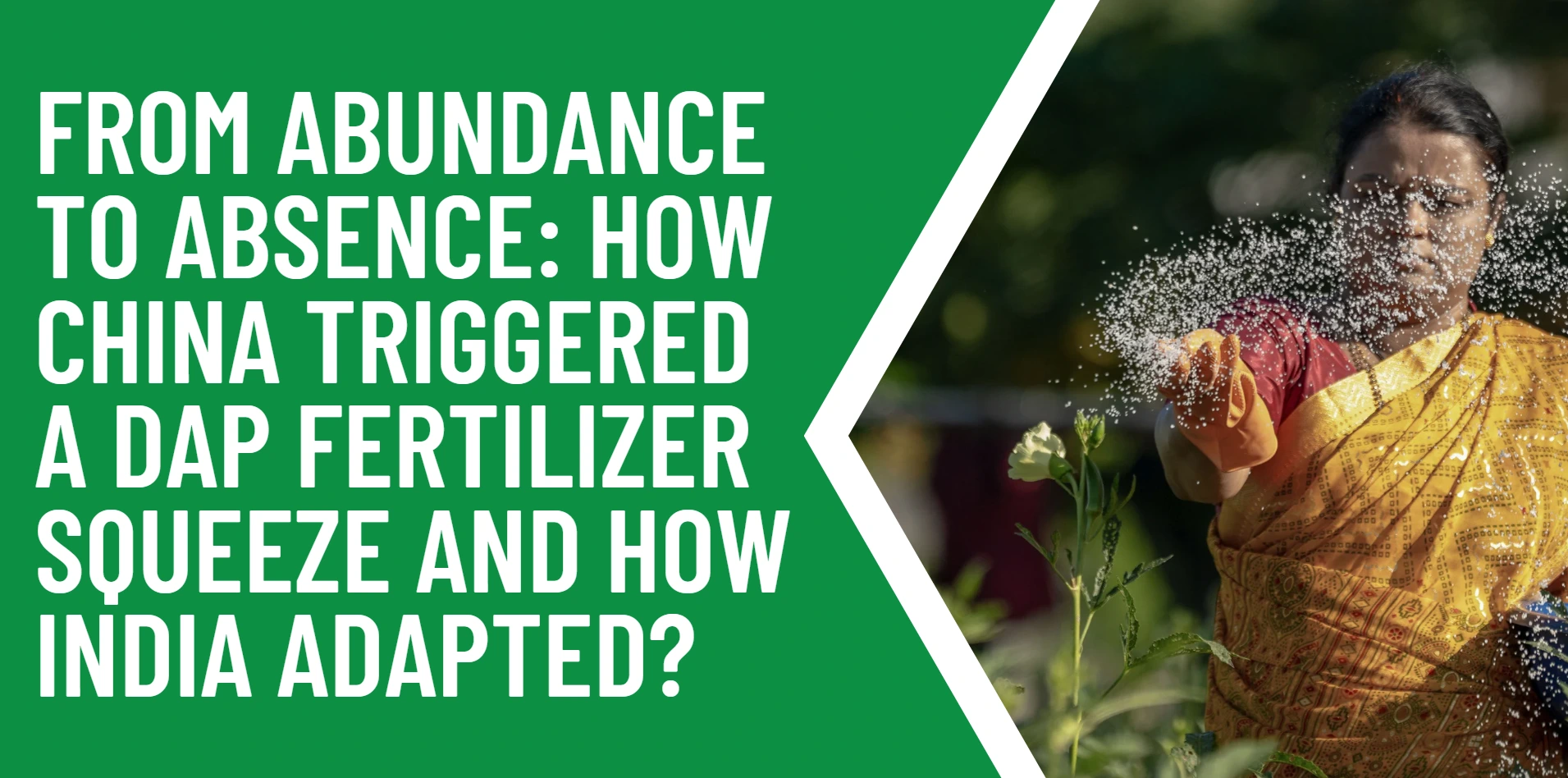 /from-abundance