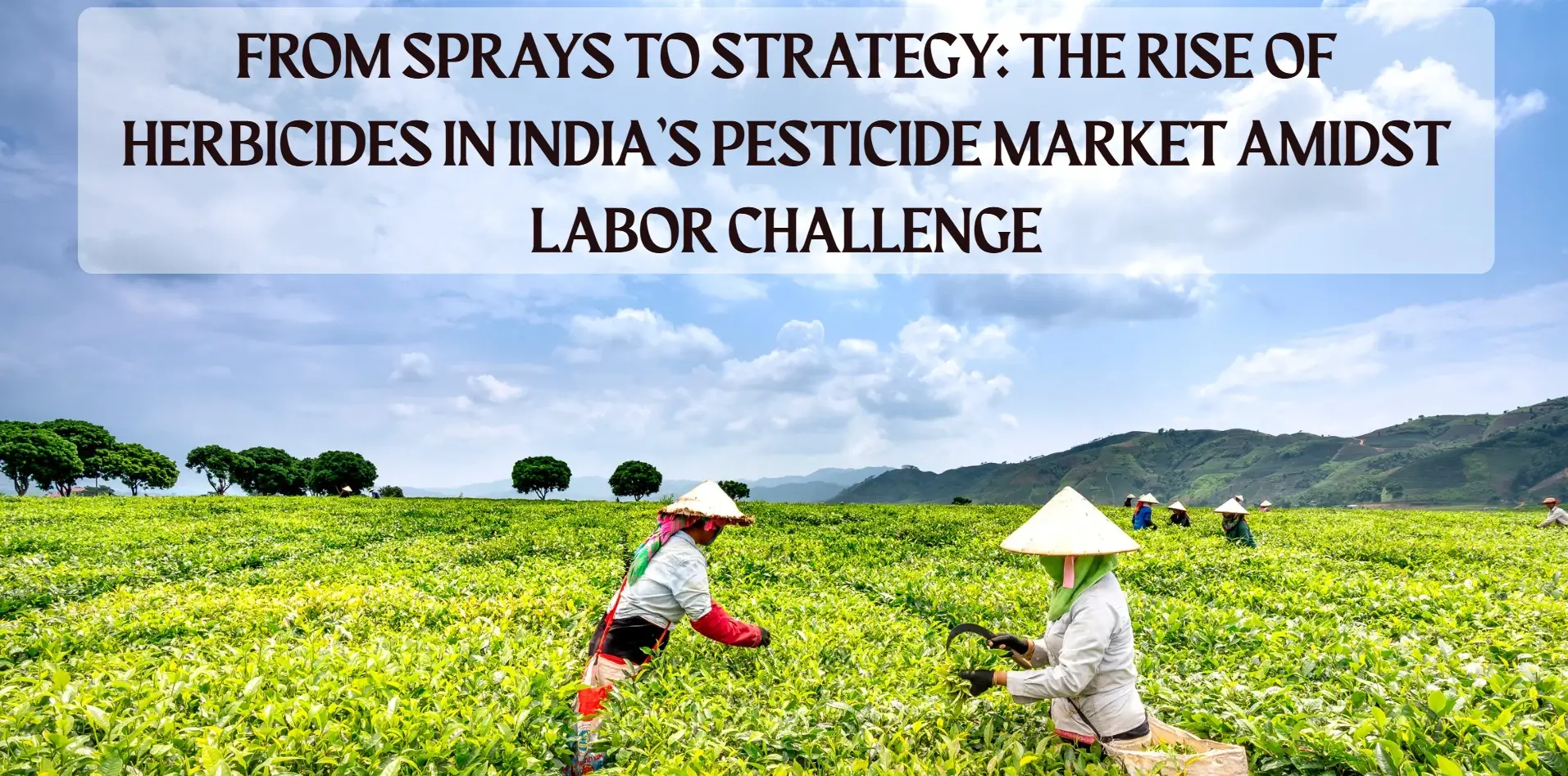 form sprays to