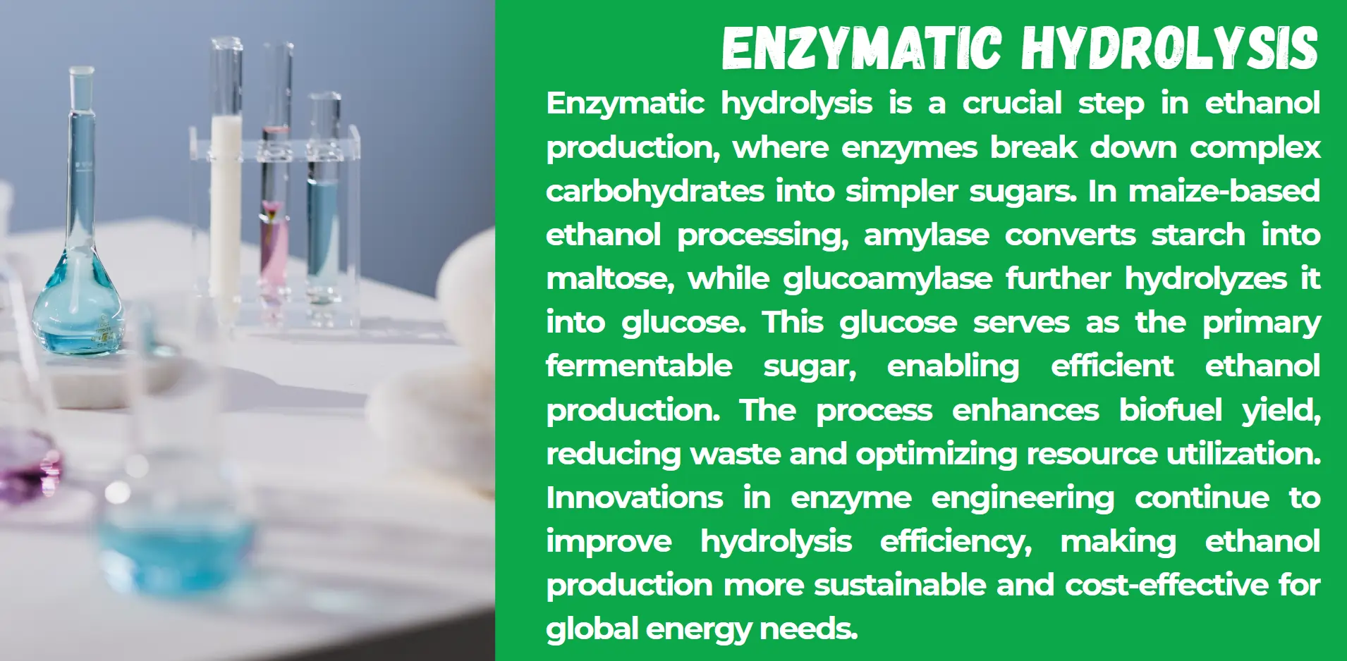 enzymatic-hydrolysis