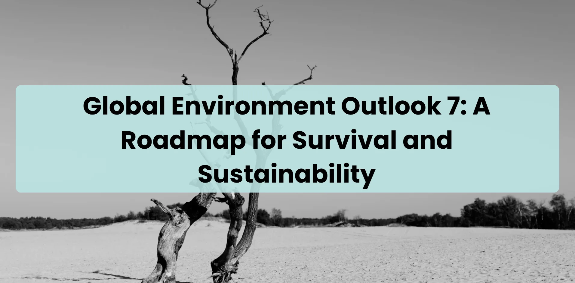 global-environment-outlook