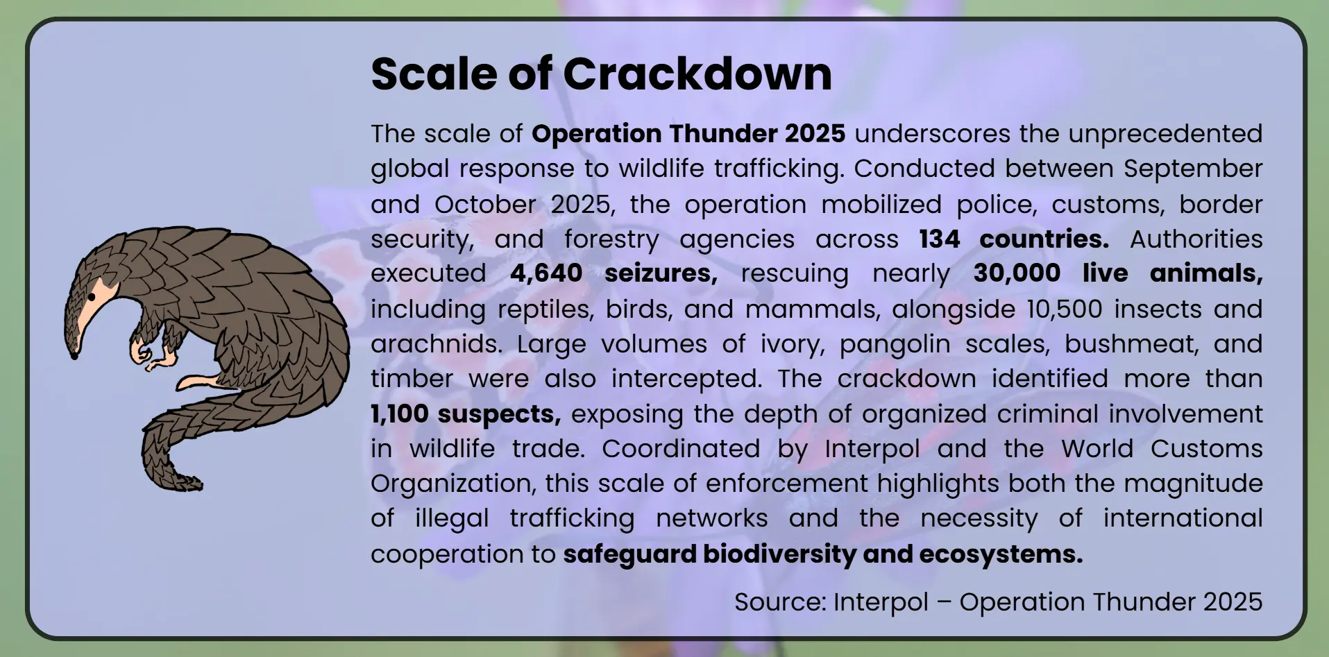 scale-of-crackdown