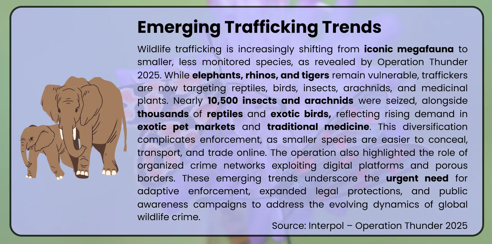 trafficking-trends