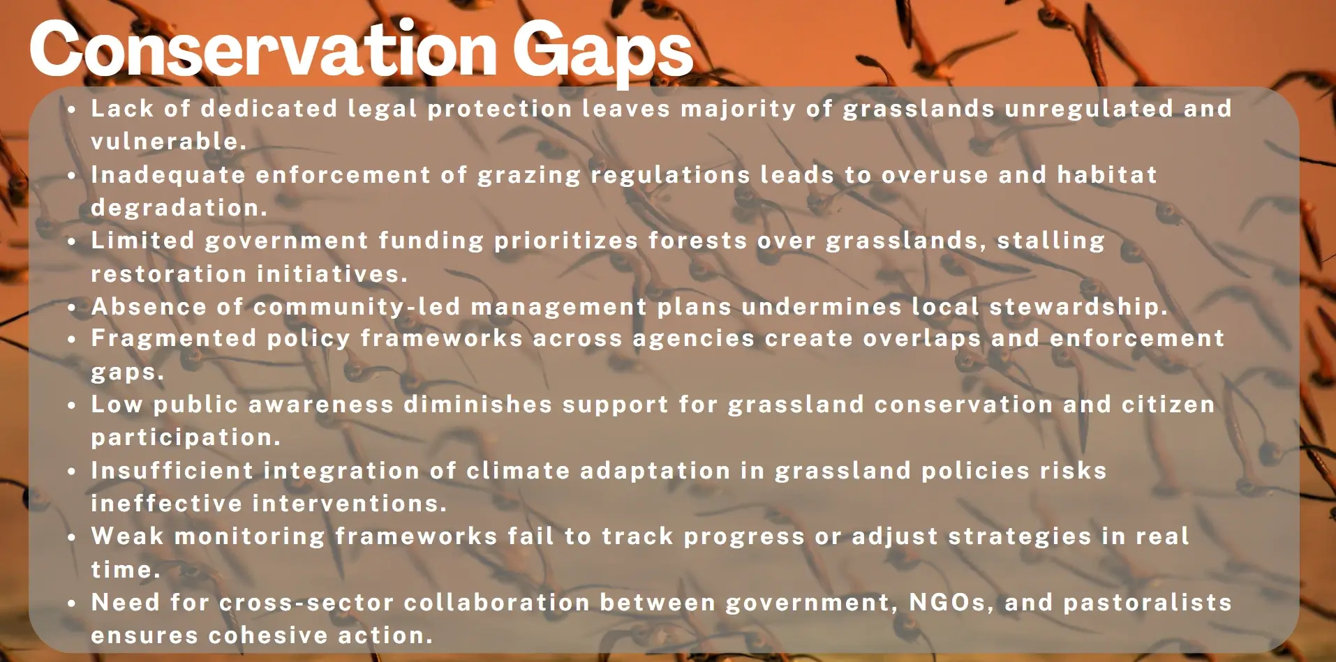 conservation gaps