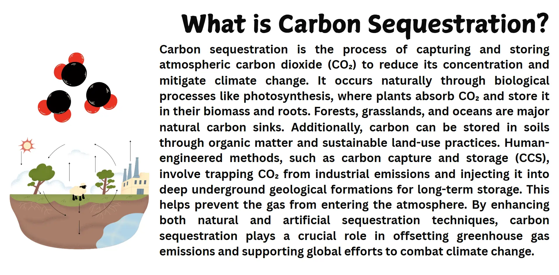 carbon-sequestration