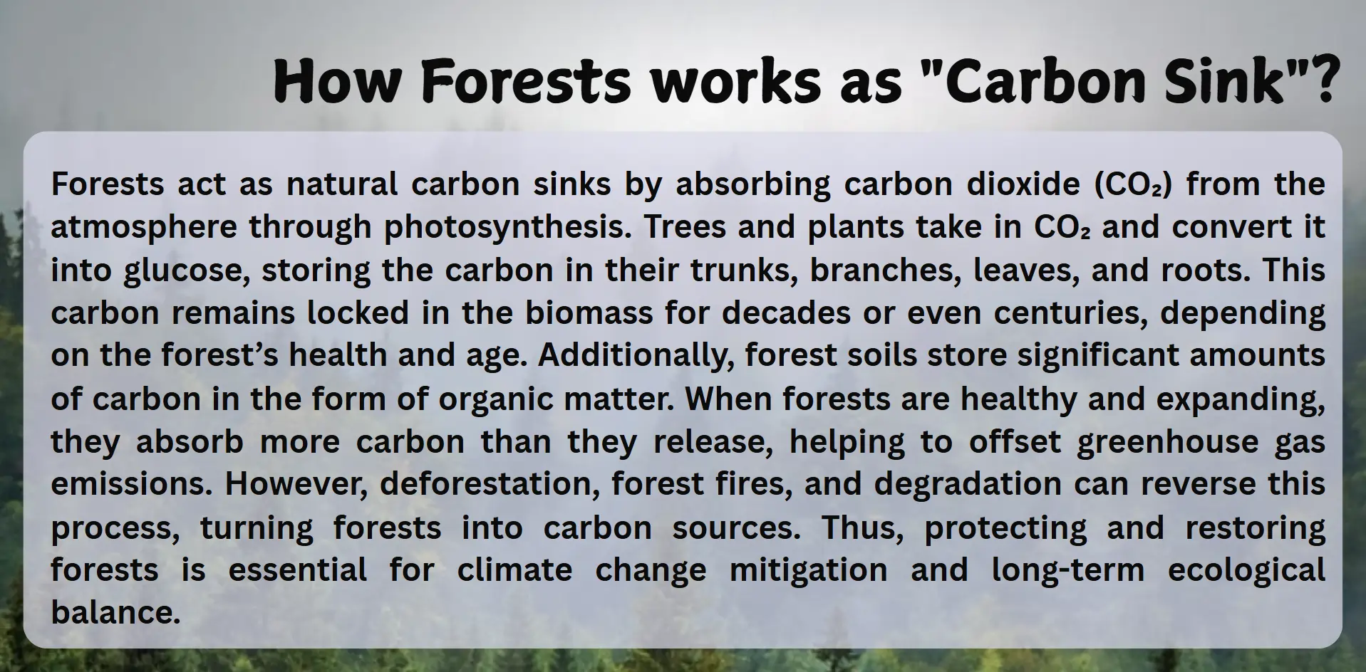 carbon-sink