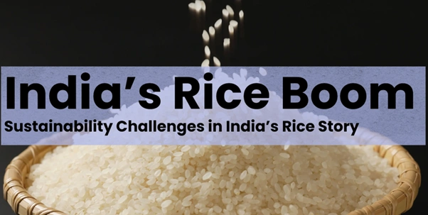 India Rice Boom