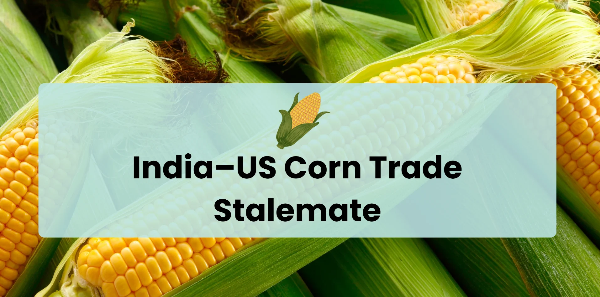 india-us-corn-trade