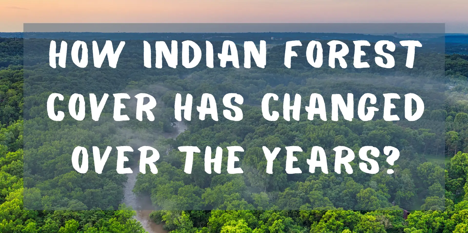 indian-forest