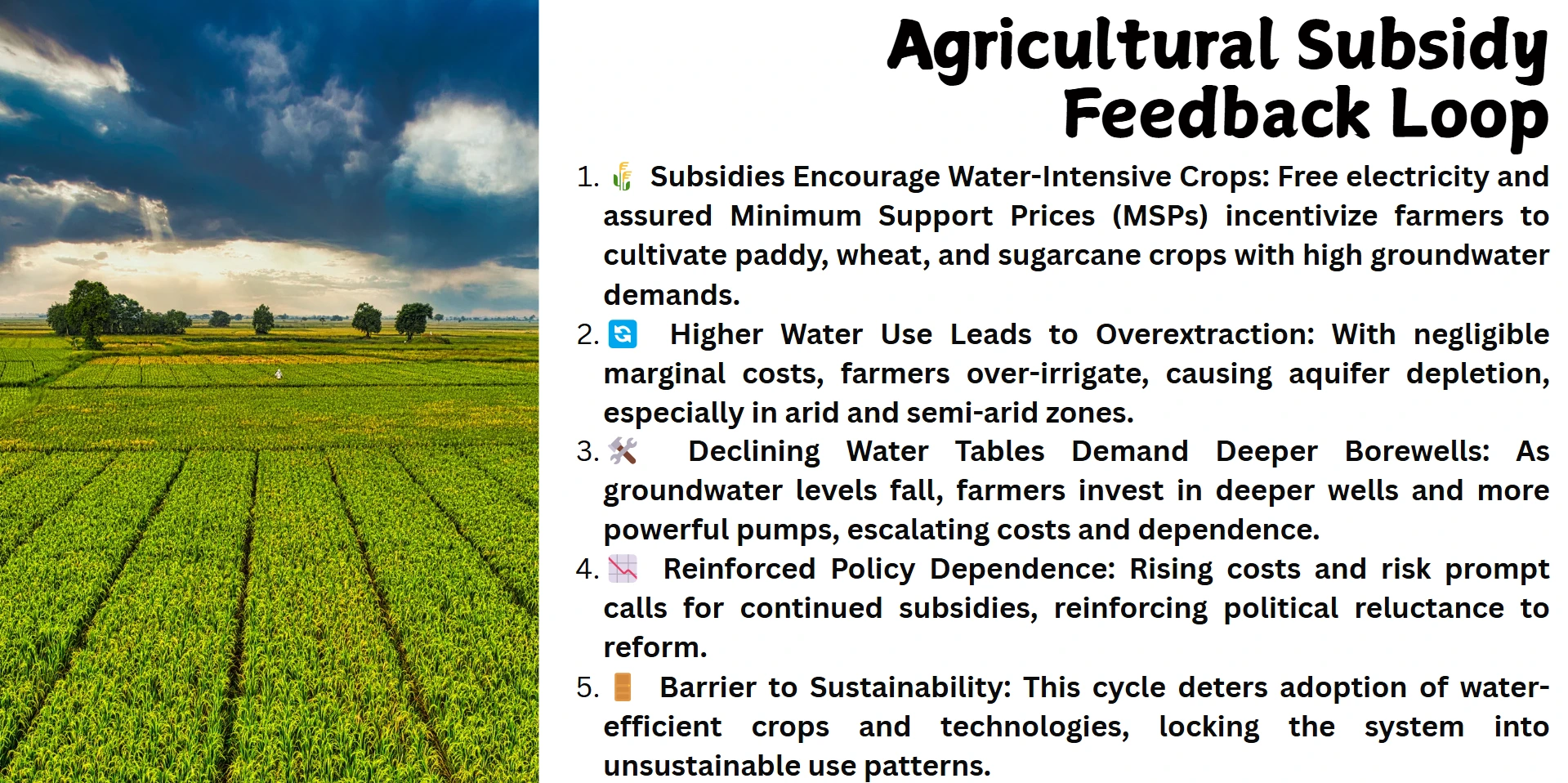 agricultural-subsidy