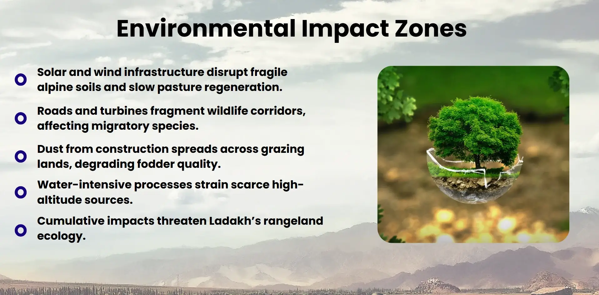 environmental impact