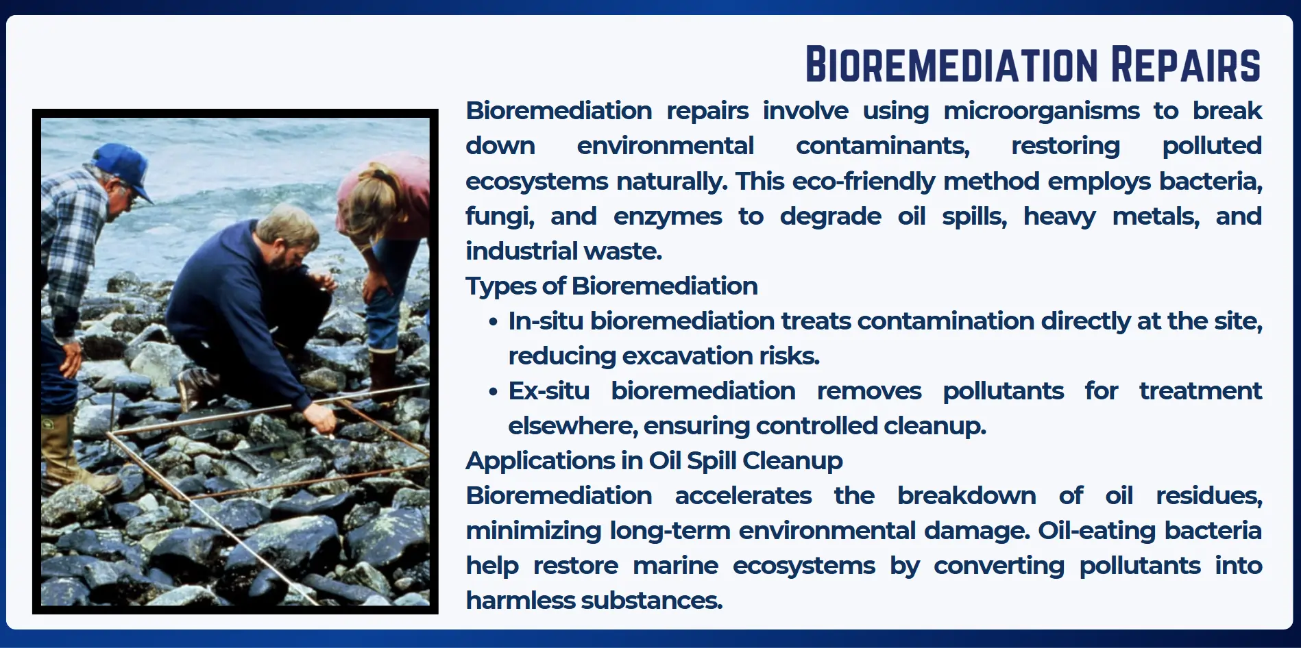 bioremediation-repairs