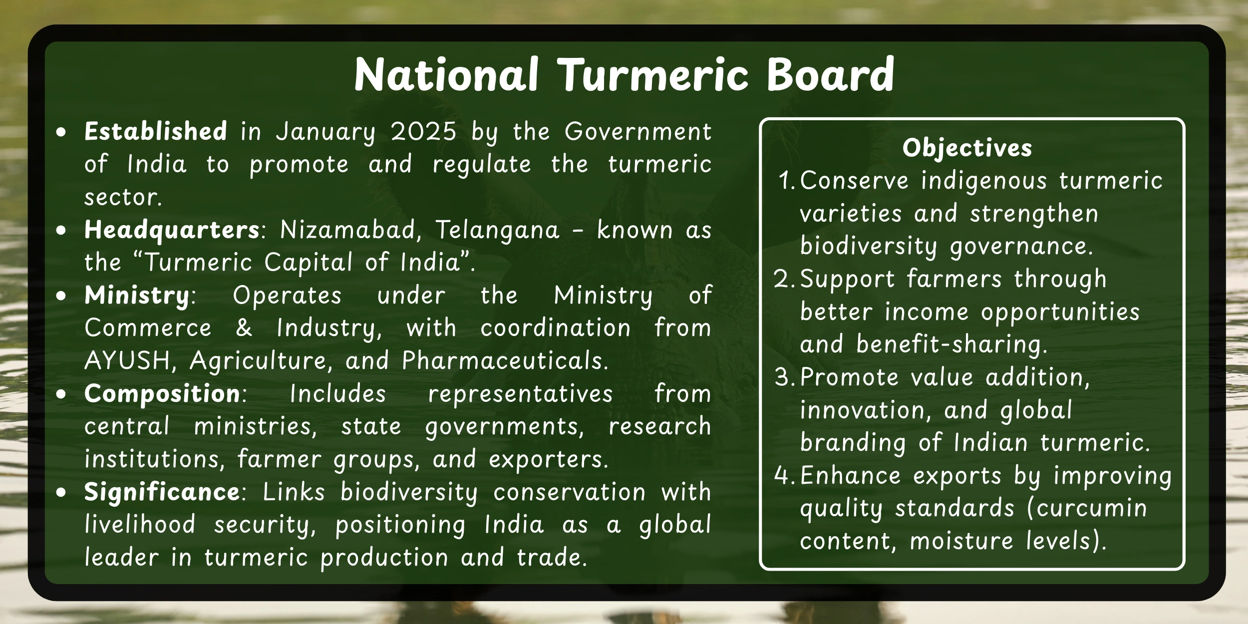 turmeric-board