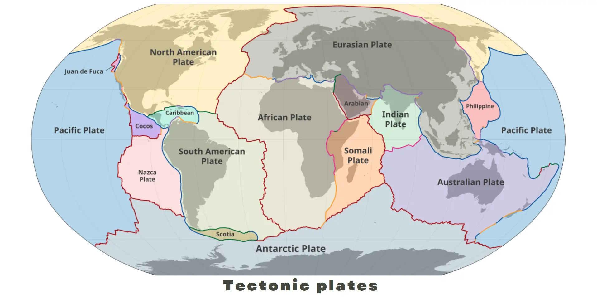 tectonic-plate