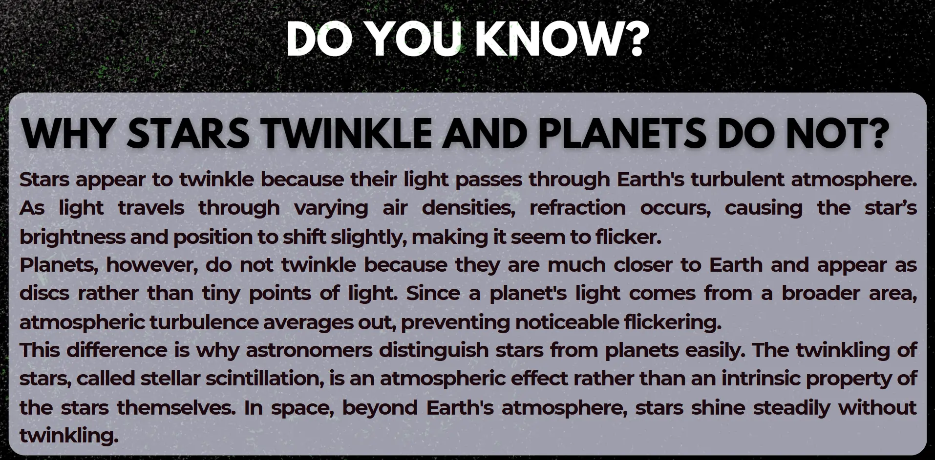 stars-twinkle-and-plant