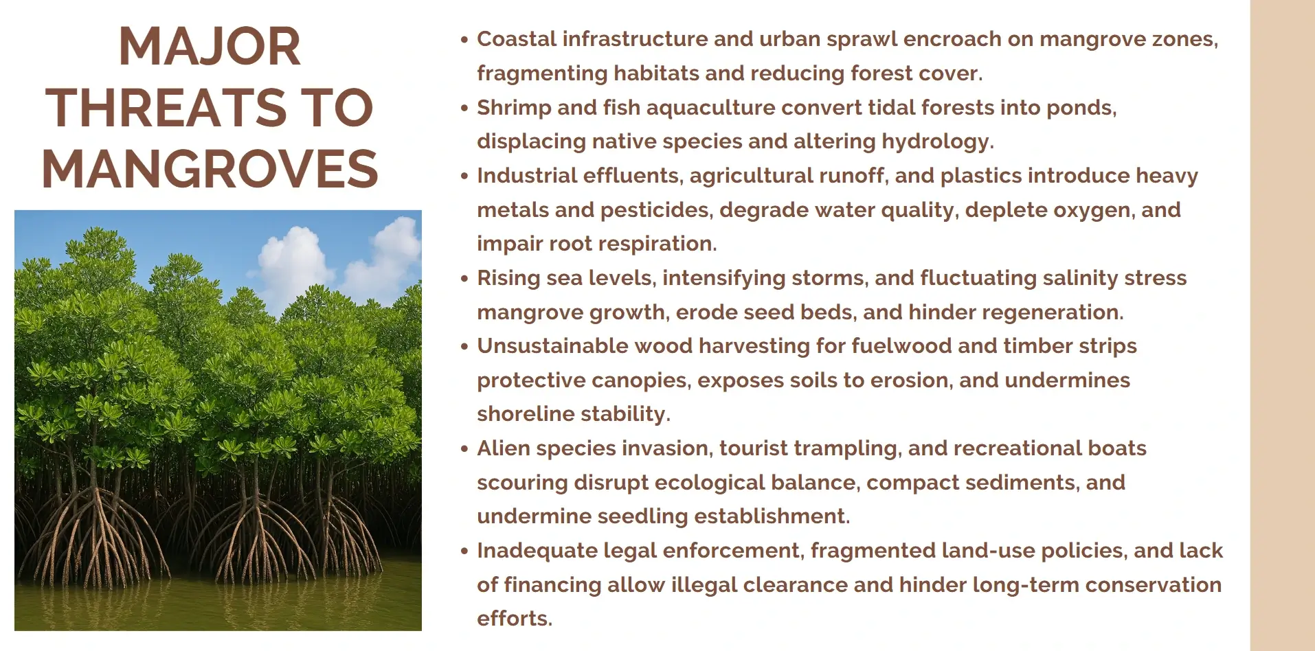 maor threats to mangroves
