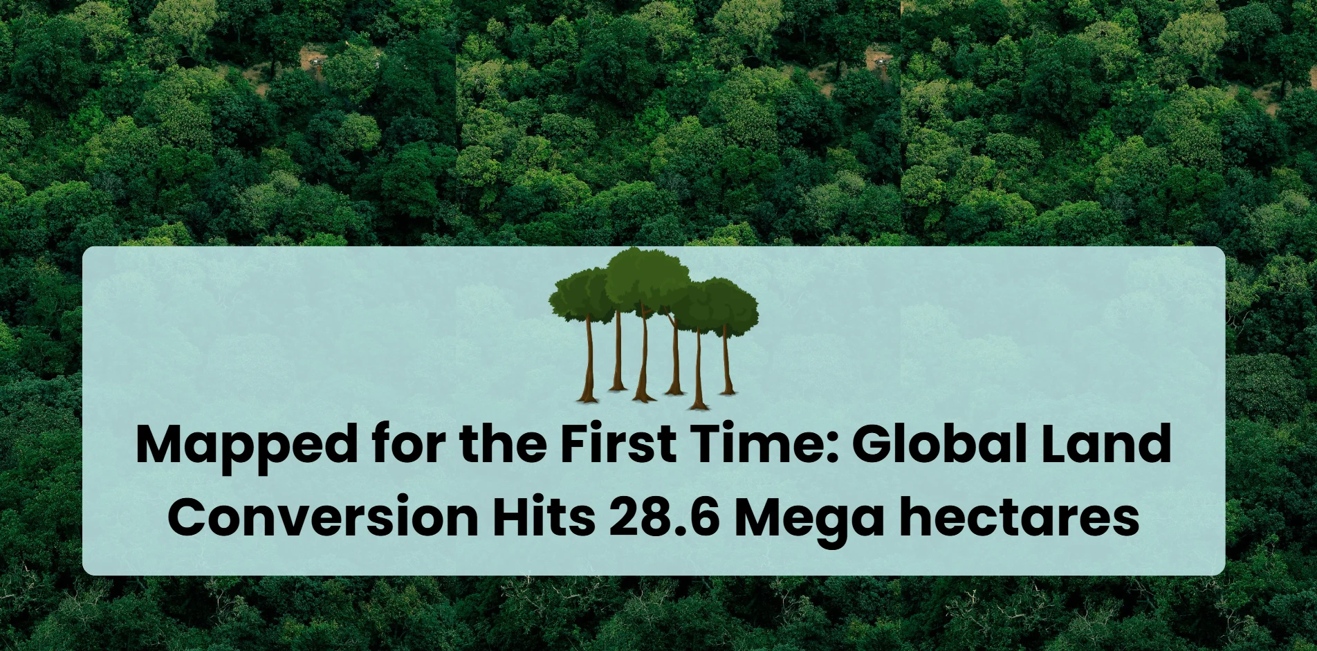 Mapped for the First Time