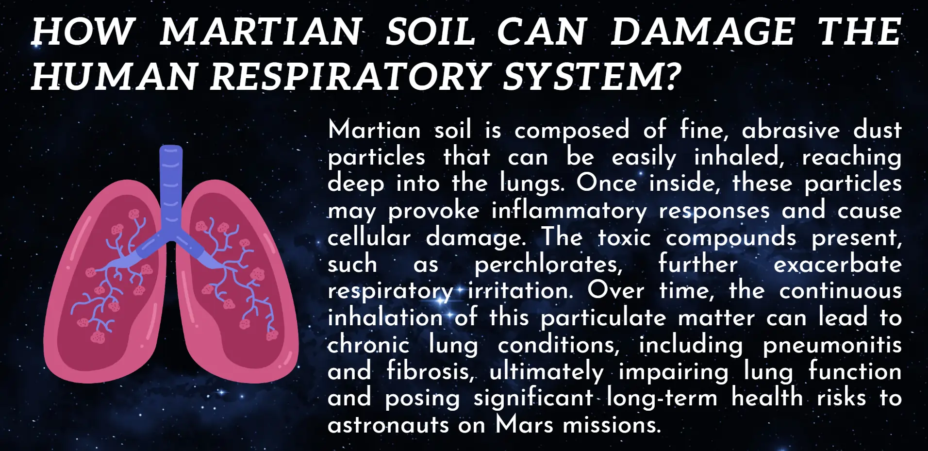 human-respiratory-system