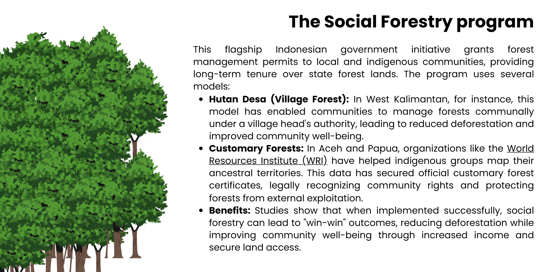 social-forestry