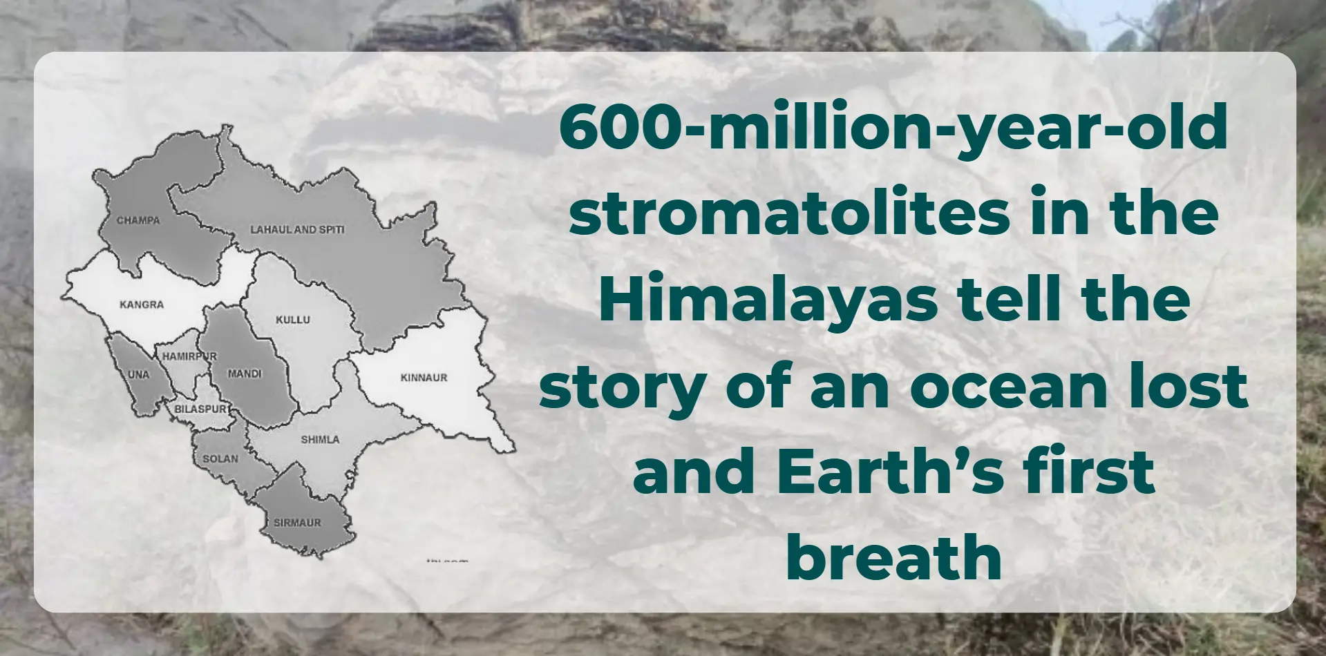 600-million-year-old-stromatolites