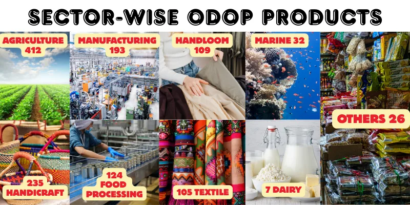 Sector wise ODOP Products