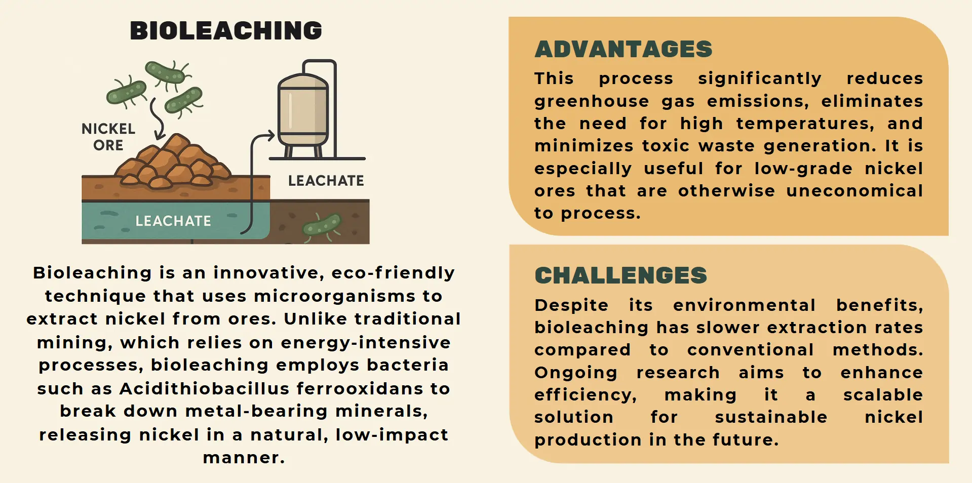 bioleaching