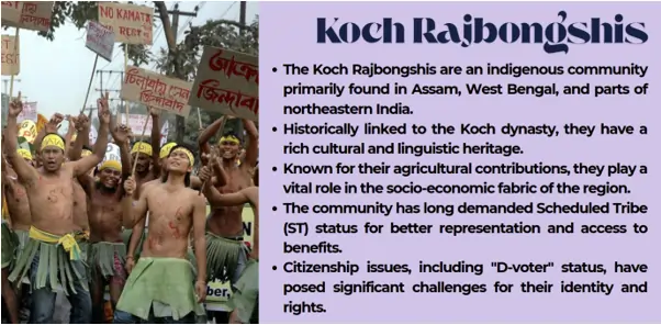 koch-rajbongshis