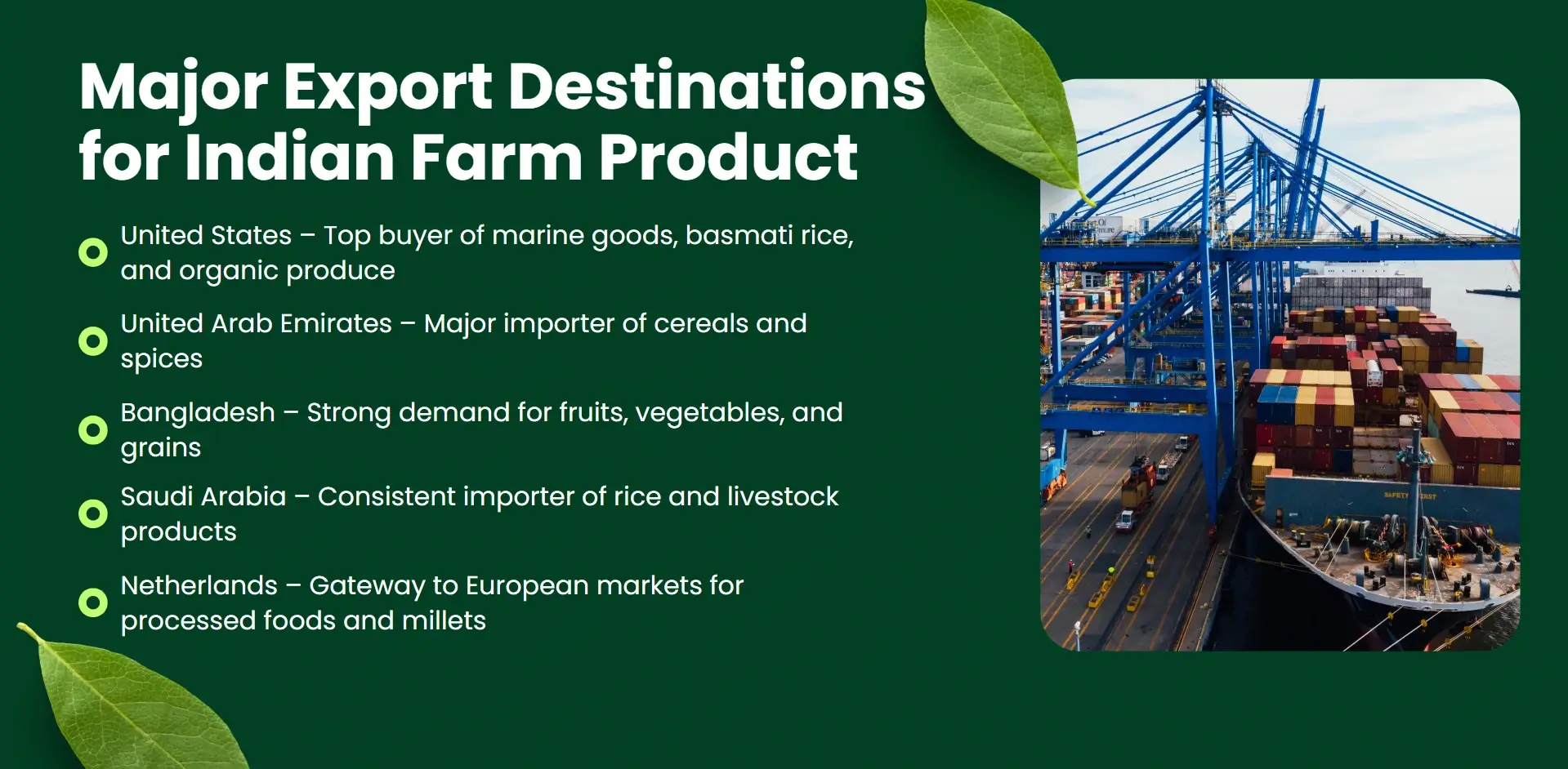 major export destinations